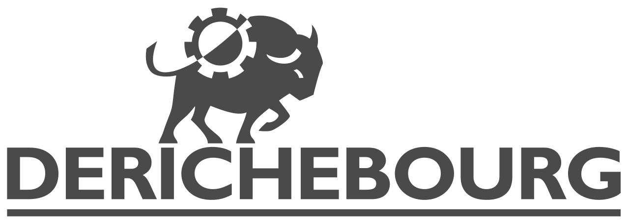 Logo Derichebourg